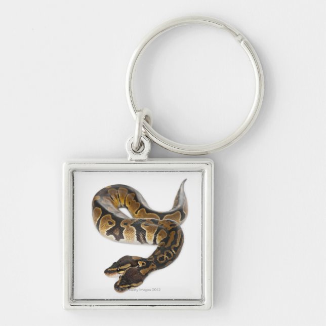 Two headed Royal Python or Ball Python - Python Key Ring (Front)