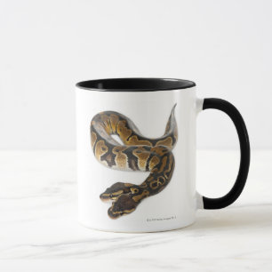 Two headed Royal Python or Ball Python - Python Mug