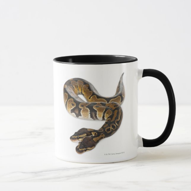 Two headed Royal Python or Ball Python - Python Mug (Right)