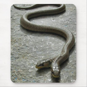 Two Headed Snake Mouse Mat