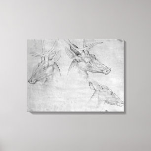 Two heads of stags, one head of a doe canvas print