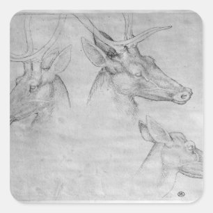 Two heads of stags, one head of a doe square sticker