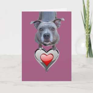 Two Hearts Pitbull Valentine's Day Card