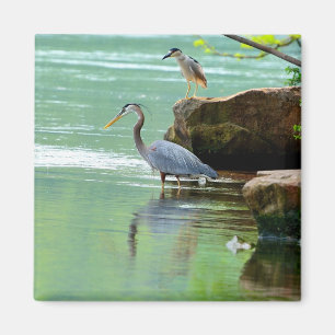 Two Herons by the River Magnet