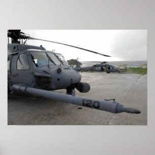 Two HH-60G Pave Hawks Poster