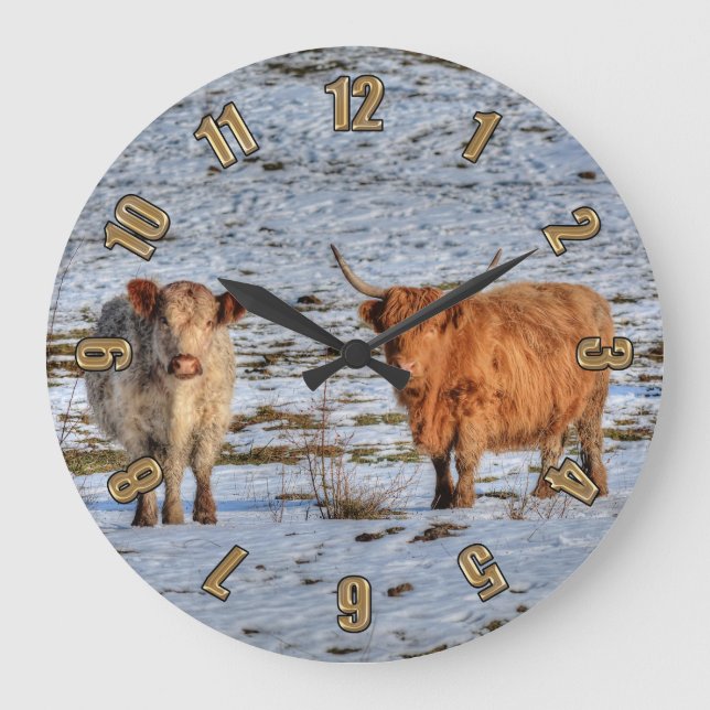 Two Highland Cattle in Winter Snow on a Wall Clock (Front)