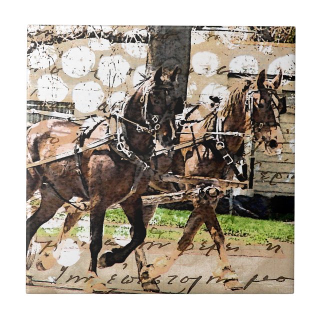 Two Horse Team Mixed Media Collage Tile (Front)