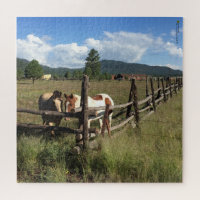 Two Horses At Rustic Log Pole Fence Photography