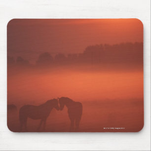 Two horses at sunset mouse mat