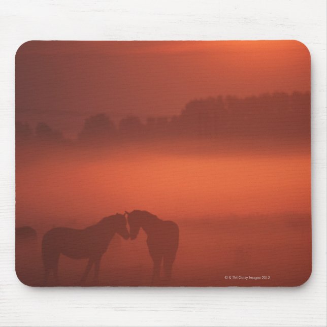 Two horses at sunset mouse mat (Front)