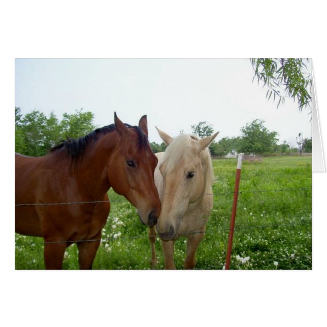 Two Horses - Blank Inside (Front Horizontal)