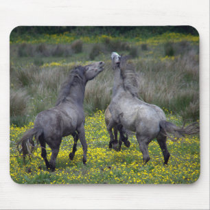 Two Horses Buck and Play Mouse Mat