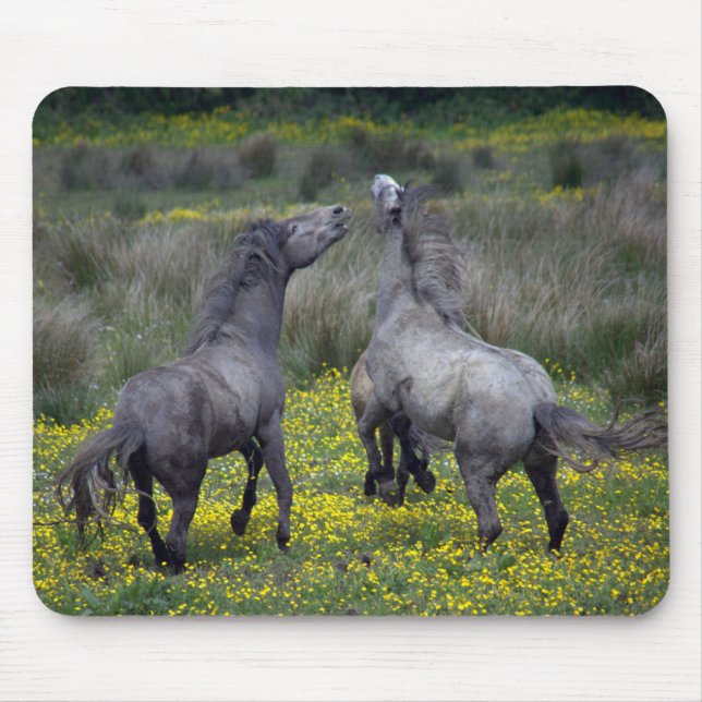 Two Horses Buck and Play Mouse Mat (Front)