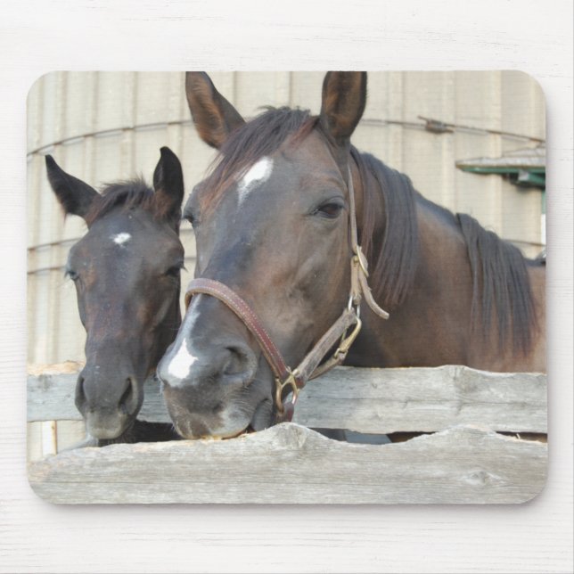 Two Horses Chewin a Fence Mouse Mat (Front)