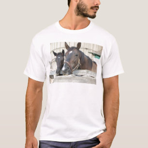Two Horses Chewin a Fence T-Shirt