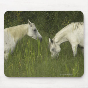 Two horses eating grass mouse mat