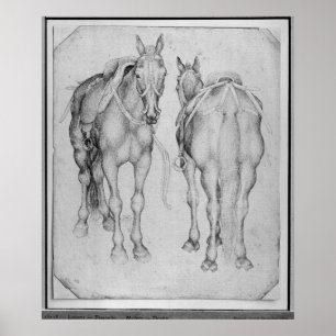 Two horses, from the The Vallardi Album Poster