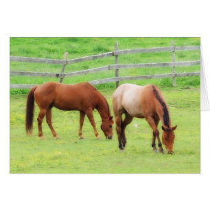 Two Horses Grazing
