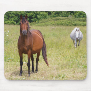 Two horses in a field mouse mat