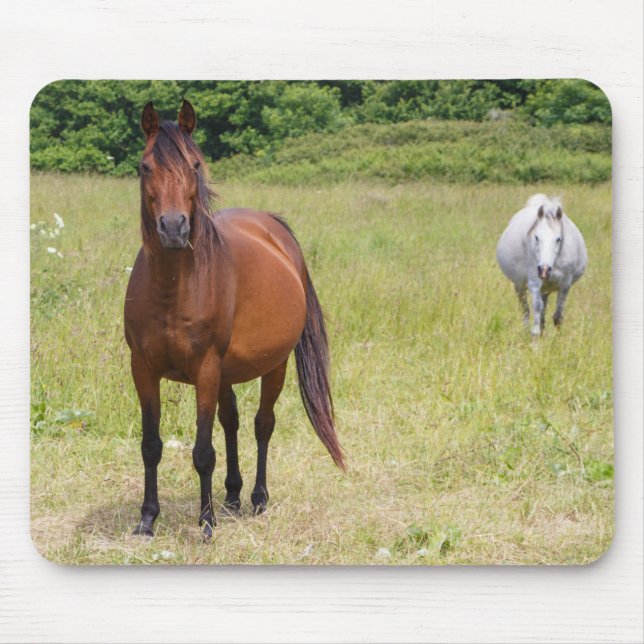 Two horses in a field mouse mat (Front)