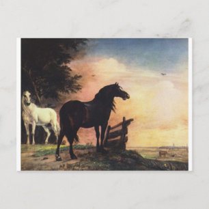 Two Horses in a Meadow near a Gate Postcard
