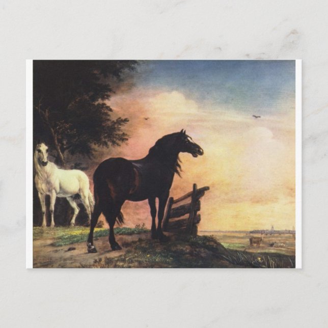 Two Horses in a Meadow near a Gate Postcard (Front)