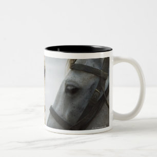 Two horses meeting. Two-Tone coffee mug