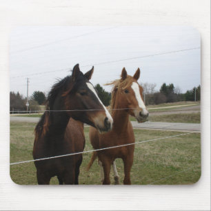 Two Horses Mouse Mat