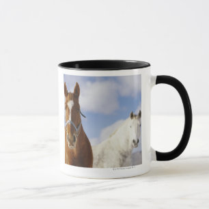 Two Horses Mug