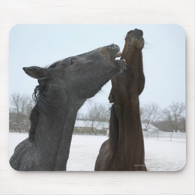 two horses neighing mouse mat (Front)