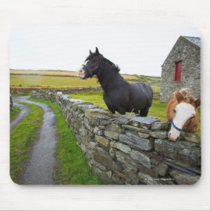 Two horses on farm in rural England Mouse Mat
