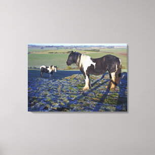 Two horses on Hackpen hill in North Wiltshire Canvas Print