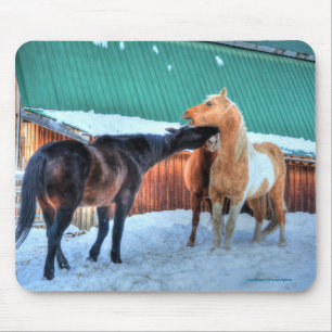 Two Horses Playfighting Funny Equine Photography Mouse Mat