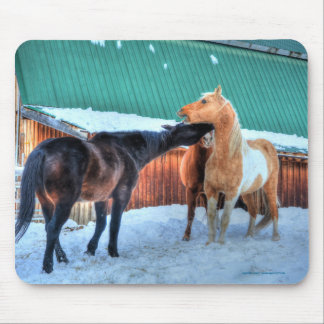 Two Horses Playfighting Funny Equine Photography Mouse Mat