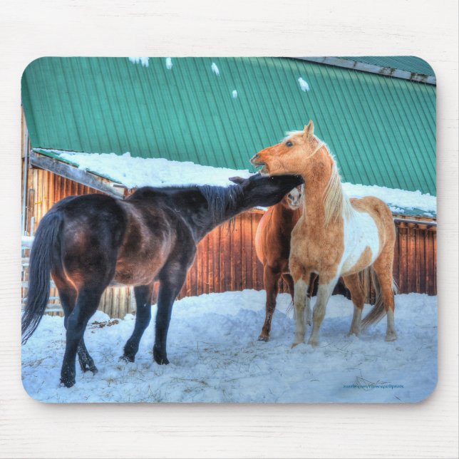 Two Horses Playfighting Funny Equine Photography Mouse Mat (Front)