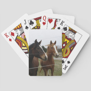 Two Horses Playing Cards