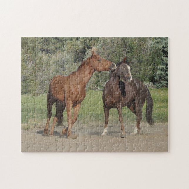 Two Horses Playing Jigsaw Puzzle (Horizontal)