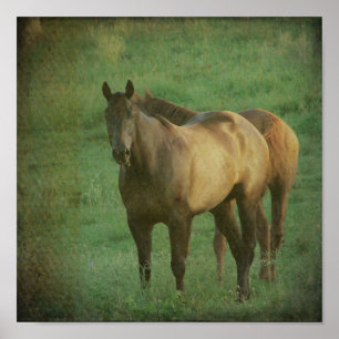 Two Horses Poster