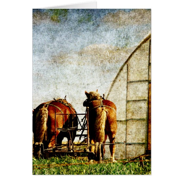 Two Horses Ready For Work (Front)