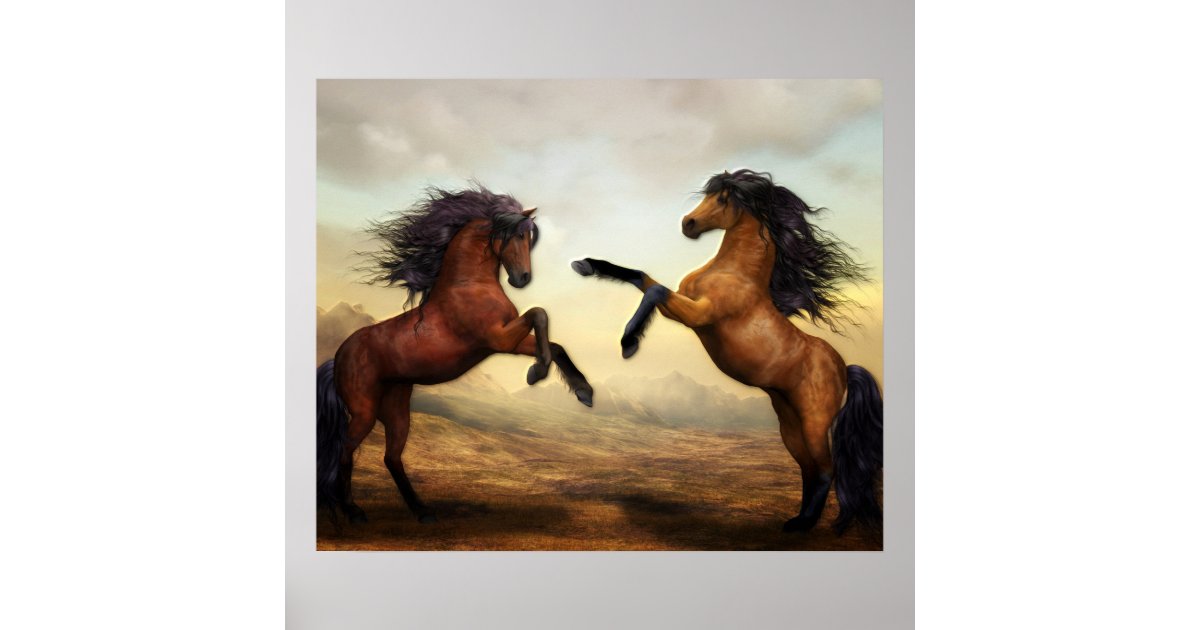 Two Horses Rearing Poster | Zazzle