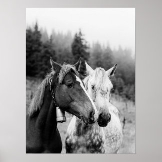 Two Horses Rustic Countryside Poster
