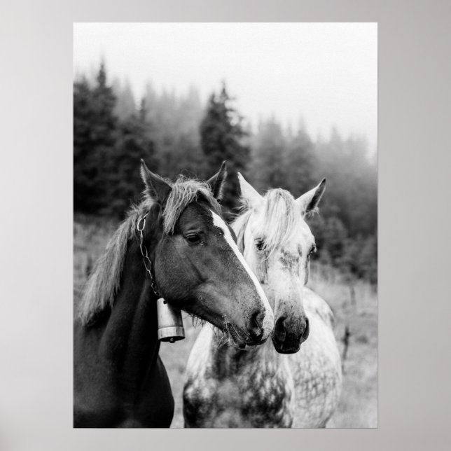 Two Horses Rustic Countryside Poster (Front)