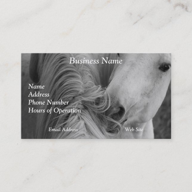 Two Horses Social Grooming B&W Equine  Photography Business Card (Front)