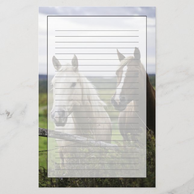 Two horses stand near fence in farm field of off stationery (Front)