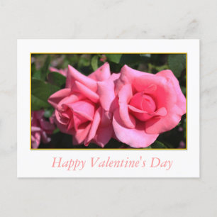 two hot pink rose flowers Valentine's Day Holiday Postcard