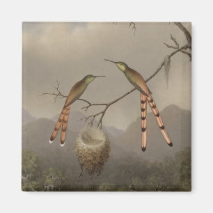 Two Hummingbirds with Their Young Magnet