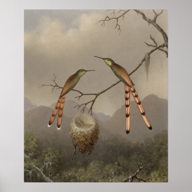 Two Hummingbirds with Their Young Poster (Front)