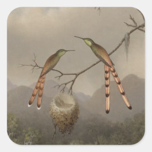 Two Hummingbirds with Their Young Square Sticker
