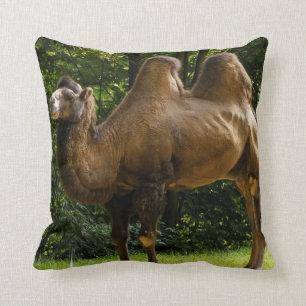 Two Humped Camel Pillow
