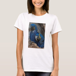 Two Hyacinth Macaws, Brazil T-Shirt